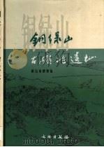 铜绿山古矿冶遗址（1999 PDF版）