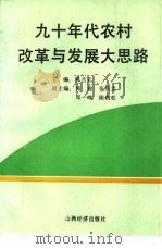 九十年代农村改革与发展大思路 1993 PDF电子版封面 780577580X 陈吉元主编