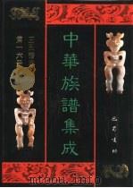 中华族谱集成  王氏谱卷  第16册   1995  PDF电子版封面  7805236941  张海瀛，武新立，林万清主编 