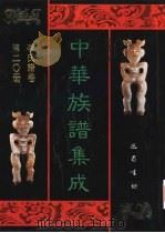 中华族谱集成  李氏谱卷  第20册   1995  PDF电子版封面  7805236941  张海瀛，武新立，林万清主编 