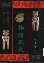 中华族谱集成  张氏谱卷  第17册（1995 PDF版）