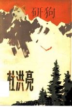 杜洪亮（1978 PDF版）