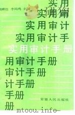 实用审计手册（1987 PDF版）