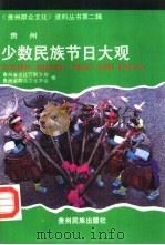 贵州少数民族节日大观 1991 PDF电子版封面 754120143X 贵州省文化厅群文处,贵州省群众文化学会编