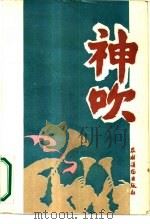 神吹 1987 PDF电子版封面 10267·65 孔令保,刘波等著;郭雪波责任编辑