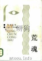 荒魂 1986 PDF电子版封面 10317·273 青春编辑部编