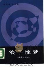 浪子惊梦（1988 PDF版）