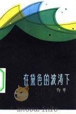 在黛色的波涛下 1982 PDF电子版封面 10067·255 鄂华著