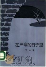 在严寒的日子里   1990  PDF电子版封面  7020006485  丁玲著 