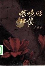 燃烧的记忆（1983 PDF版）