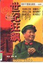 世纪狂飙（1996 PDF版）