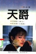 天爵 1994 PDF电子版封面 7805777411 王山著