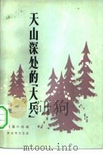 天山深处的“大兵” 短篇小说选 1982 PDF电子版封面 10137·59 肖溪编