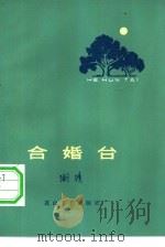合婚台 1982 PDF电子版封面 10286·11 潮清著