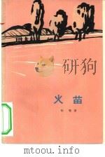 火苗   1965  PDF电子版封面  10020·10089  杨啸著 