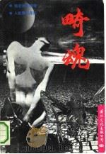 畸魂 1994 PDF电子版封面 7800494713 刘一达著