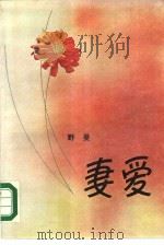 妻爱（1984 PDF版）