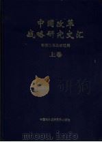 中国改革战略研究文汇  上（1999 PDF版）