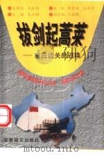 拔剑起蒿莱 回应边关的召唤 1997 PDF电子版封面 7800278867 孔令铜,文若鹏编著