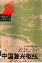 中国复兴枢纽 抗日战争的八年 1995 PDF电子版封面 7200027227 刘大年,白介夫主编;中国抗日战争史学会,中国人民抗日战争纪念