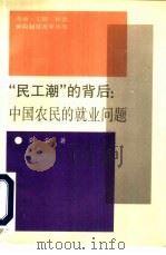 “民工潮”的背后 中国农民的就业问题 ZHONG GUO NONG MIN DE JIU YE WEN TI 1993 PDF电子版封面 7800683079 莫荣编著