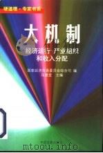 大机制 经济运行·产业组织和收入分配 1998 PDF电子版封面 7800872025 马建堂主编;国家经济贸易委员会综合司编