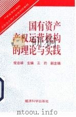 国有资产产权运营机构的理论与实践 1995 PDF电子版封面 7505807951 倪吉祥主编