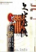 文化传统与经济组织 1999 PDF电子版封面 7810445014 王询著
