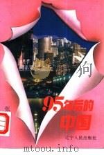 95年后的中国 1994 PDF电子版封面 7020527543 张晓峰著