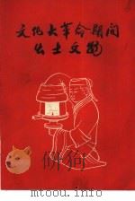 文化大革命期间出土文物（1971 PDF版）