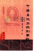 中药真伪品识别图说（1985 PDF版）