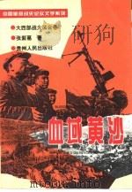 血域黄沙   1994  PDF电子版封面  7221031088  张紫葛著 