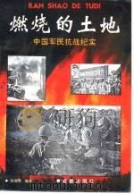 烧燃的土地-中国军民抗战纪实 1995 PDF电子版封面 780575831X 陈南楚编著