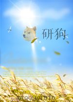 中国档案  第11期（1956 PDF版）