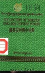 藏英汉对照小词典  英文（1994 PDF版）