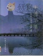 中国石桥  摄影集（1992 PDF版）