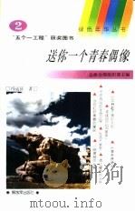 送你一个青春偶像（1994 PDF版）