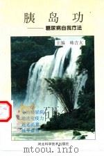胰岛功 糖尿病自我疗法 1988 PDF电子版封面 7537519897 韩吉太主编