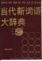 当代新词语大辞典   1992  PDF电子版封面  7805555087  文会，汪澎等主编 