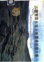 西藏察隅当雄大地震资料图片集 1989 PDF电子版封面 7805440859 西藏自治区科学技术委员会,国家地震局科技监测司编