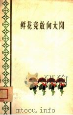 鲜花竞放向太阳  全国少数民族群众业余艺术观摩演出会节目选编（1965 PDF版）