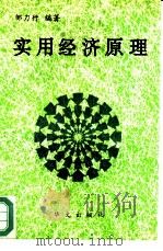 实用经济原理（1993 PDF版）
