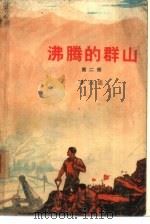 沸腾的群山 第2部 1973 PDF电子版封面 10019·2016 李云德著