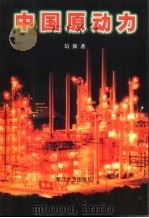 中国原动力 1998 PDF电子版封面 7533909887 胡振著
