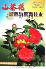 山茶花盆栽与繁育技术 1999 PDF电子版封面 7508210425 刘英汉主编