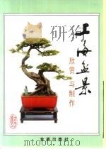 上海盆景欣赏与制作 1991 PDF电子版封面 7800221512 胡运骅主编;汪彝鼎著