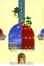青海 1998 PDF电子版封面 7806032088 李泰年等编著