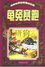 彩色世界经典童话全集 龟兔赛跑 1999 PDF电子版封面 7500746792 (意大利)戴米出版社,苏真主编