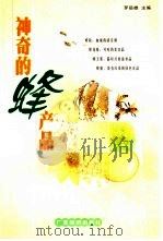 神奇的蜂产品 1999 PDF电子版封面 7806325301 罗岳雄主编