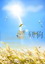 天然美容法（1997 PDF版）